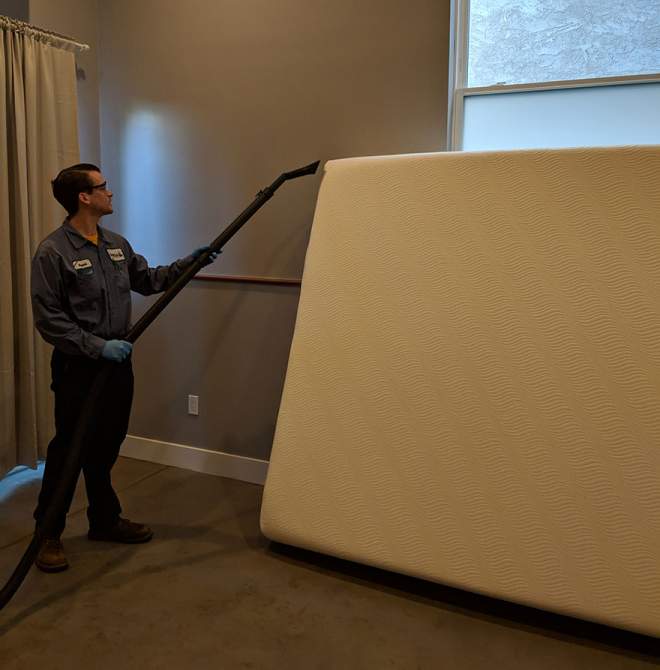 Omega technician removing bed bugs from a mattress with a special vacuum