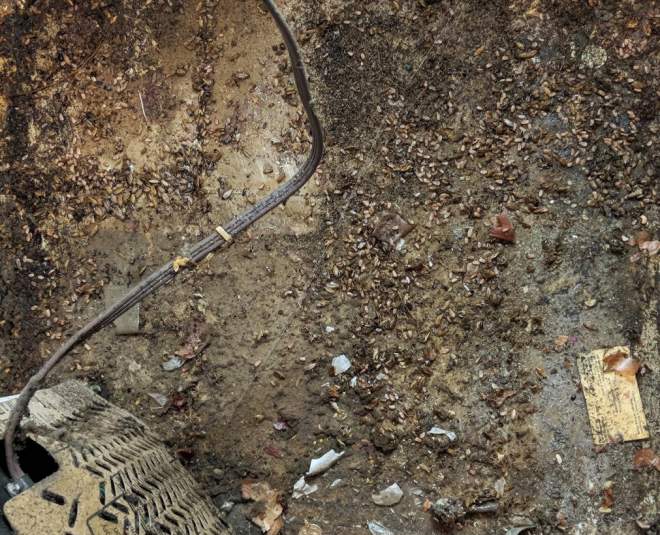 Dead roaches and empty egg capsules located underneath a refrigerator. This picture represents thousands of roaches!